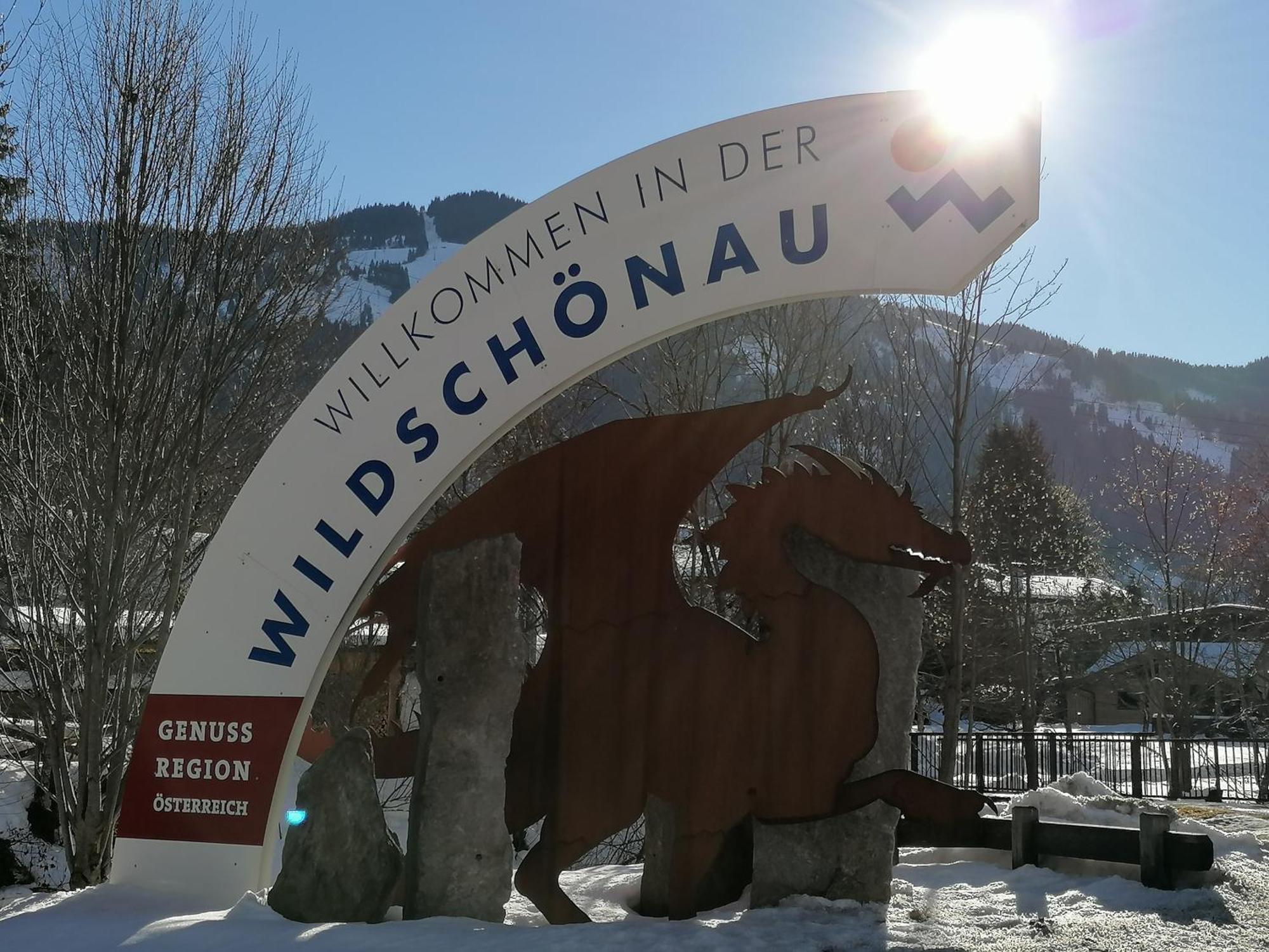 Schoners Einfanghof By Fewo-Planwild006 Niederau Exterior photo